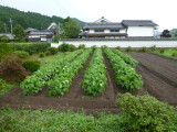 img0006.jpg