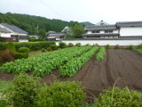 img0007.jpg