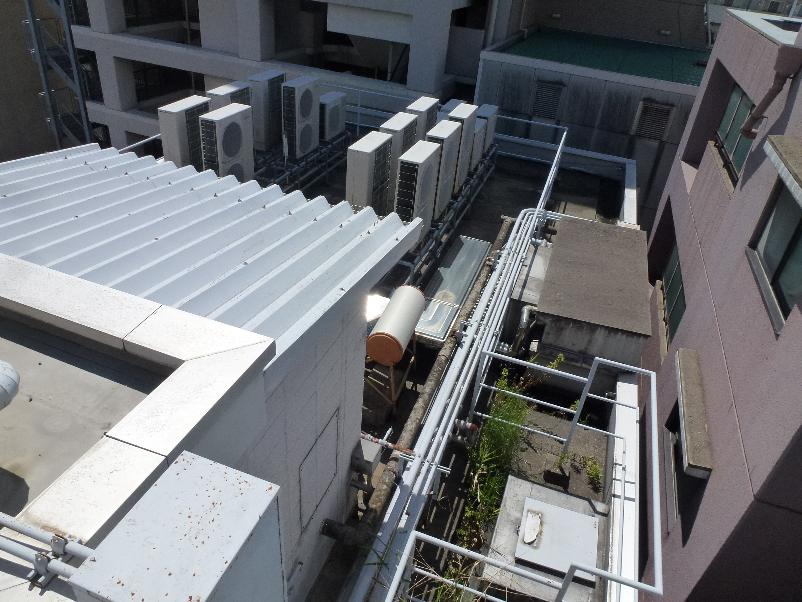 P1060330.JPG