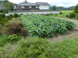 img0005.jpg