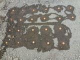 img0007.jpg
