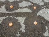 img0009.jpg