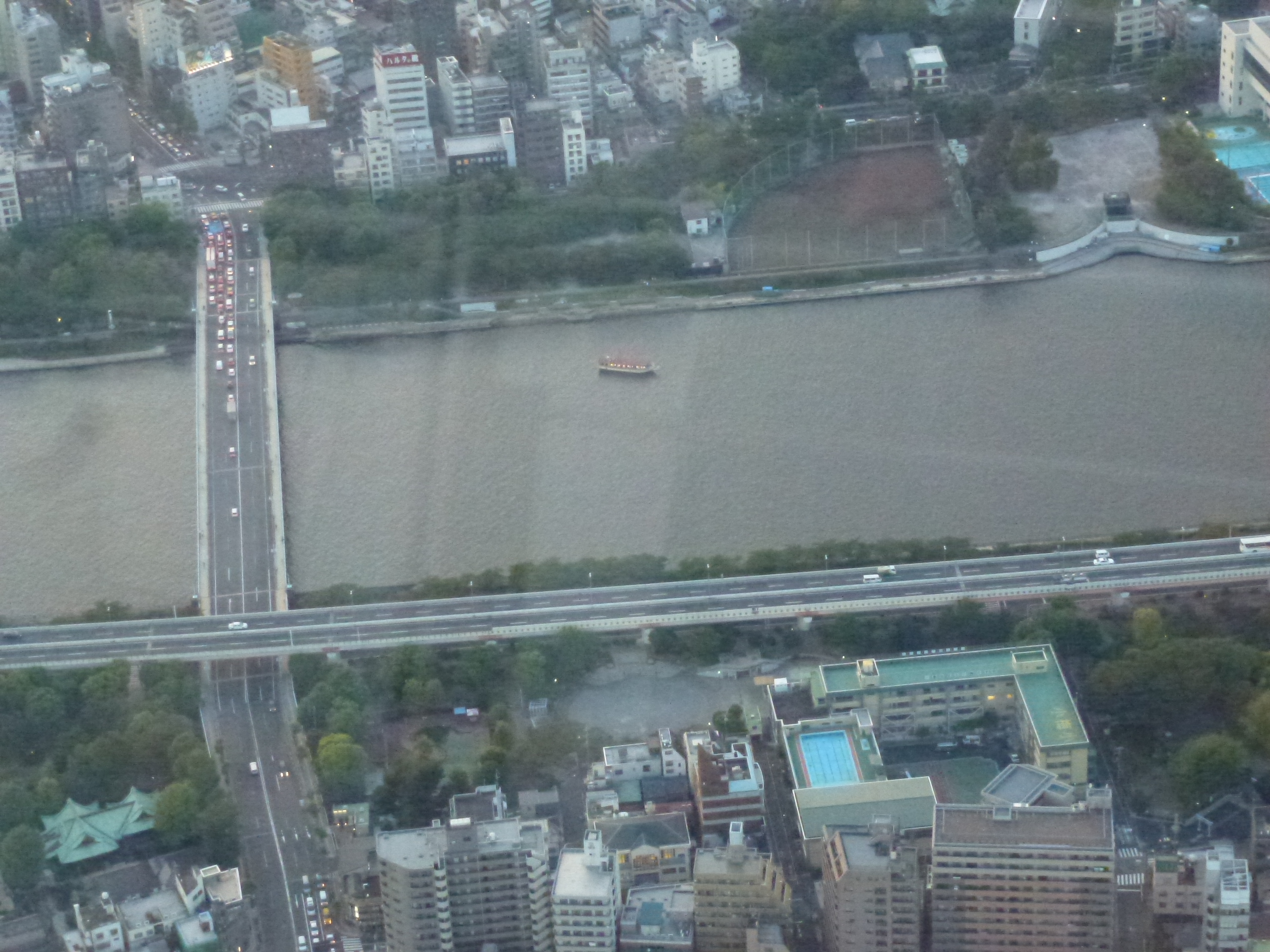 P1060533.JPG
