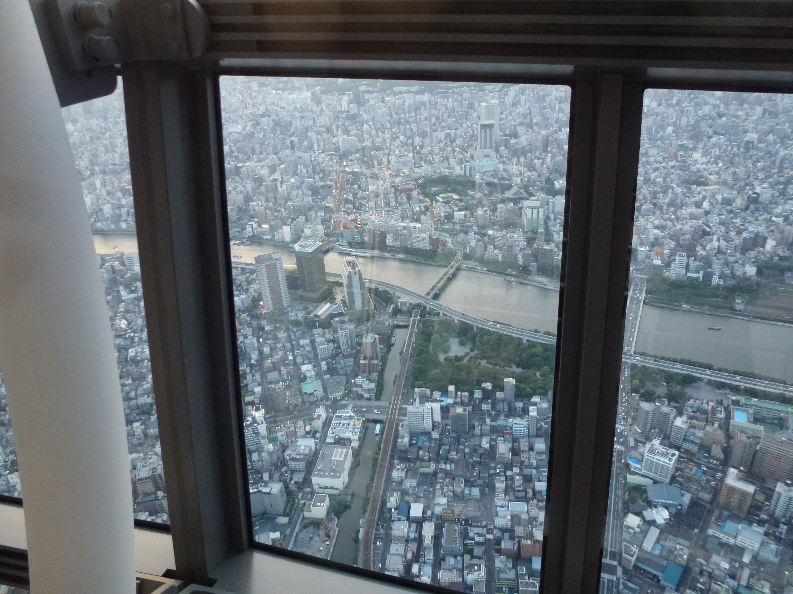 P1060534.JPG