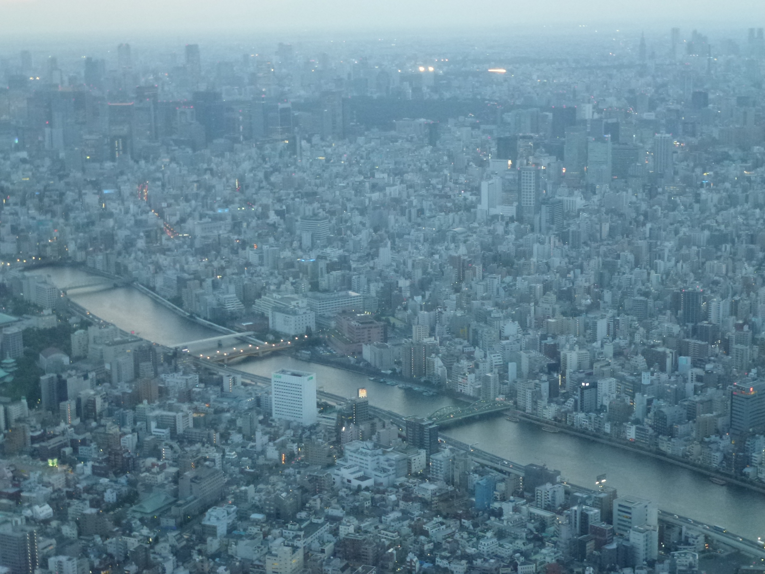 P1060544.JPG
