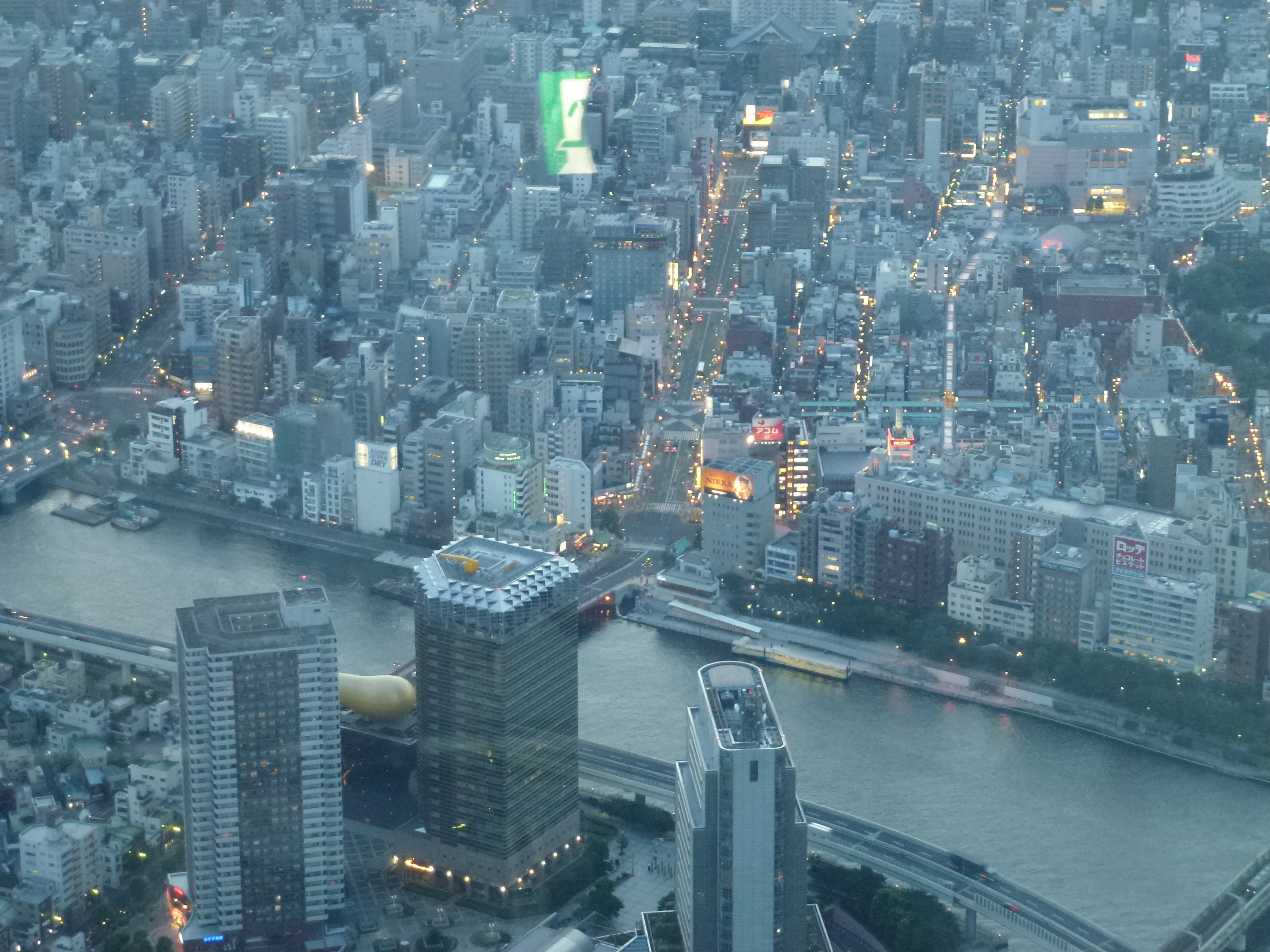 P1060546.JPG
