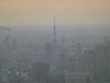 img0010.jpg