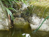 img0007.jpg