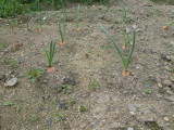 img0014.jpg