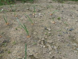 img0015.jpg