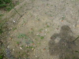 img0016.jpg