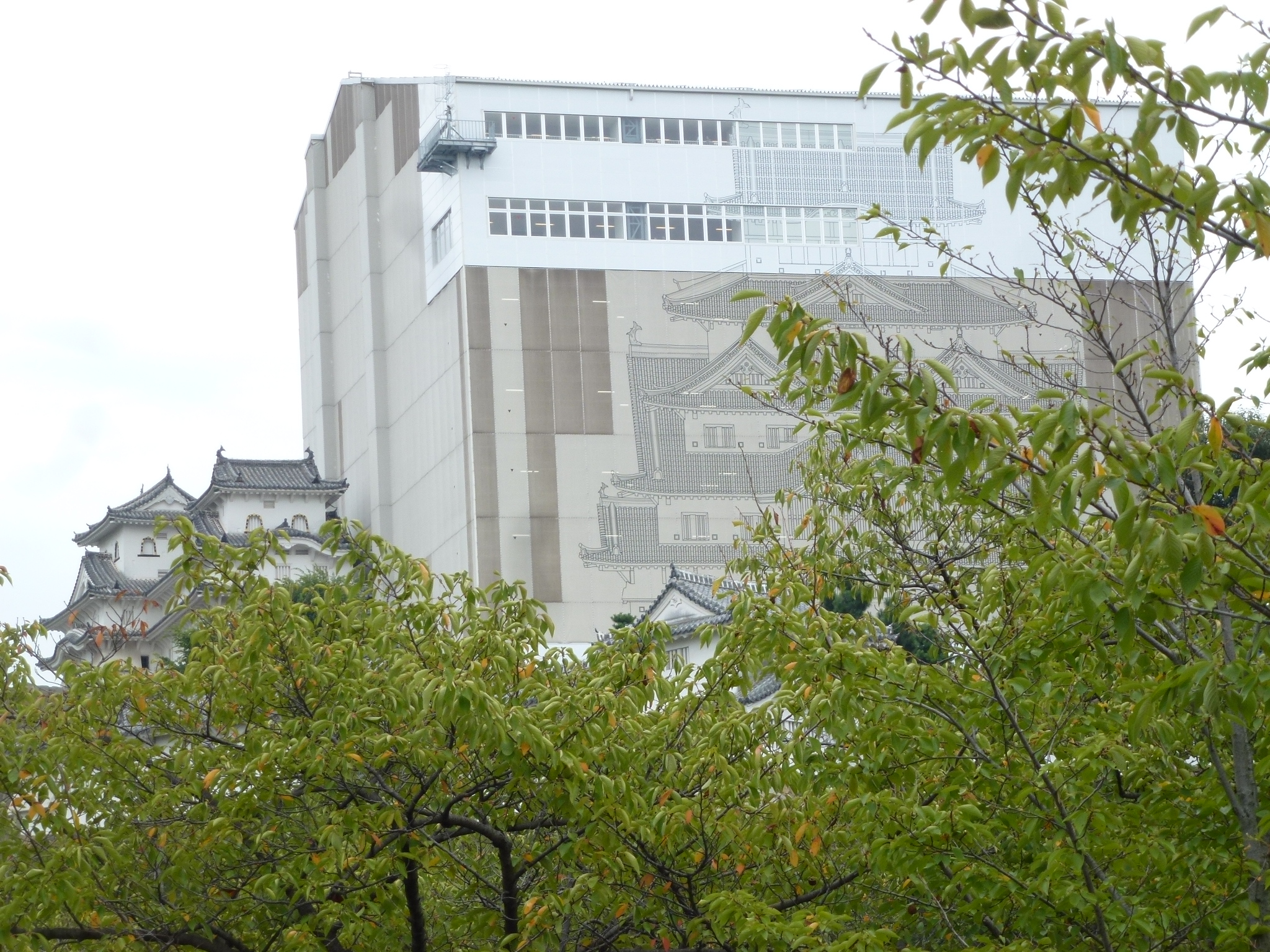 P1060658.JPG