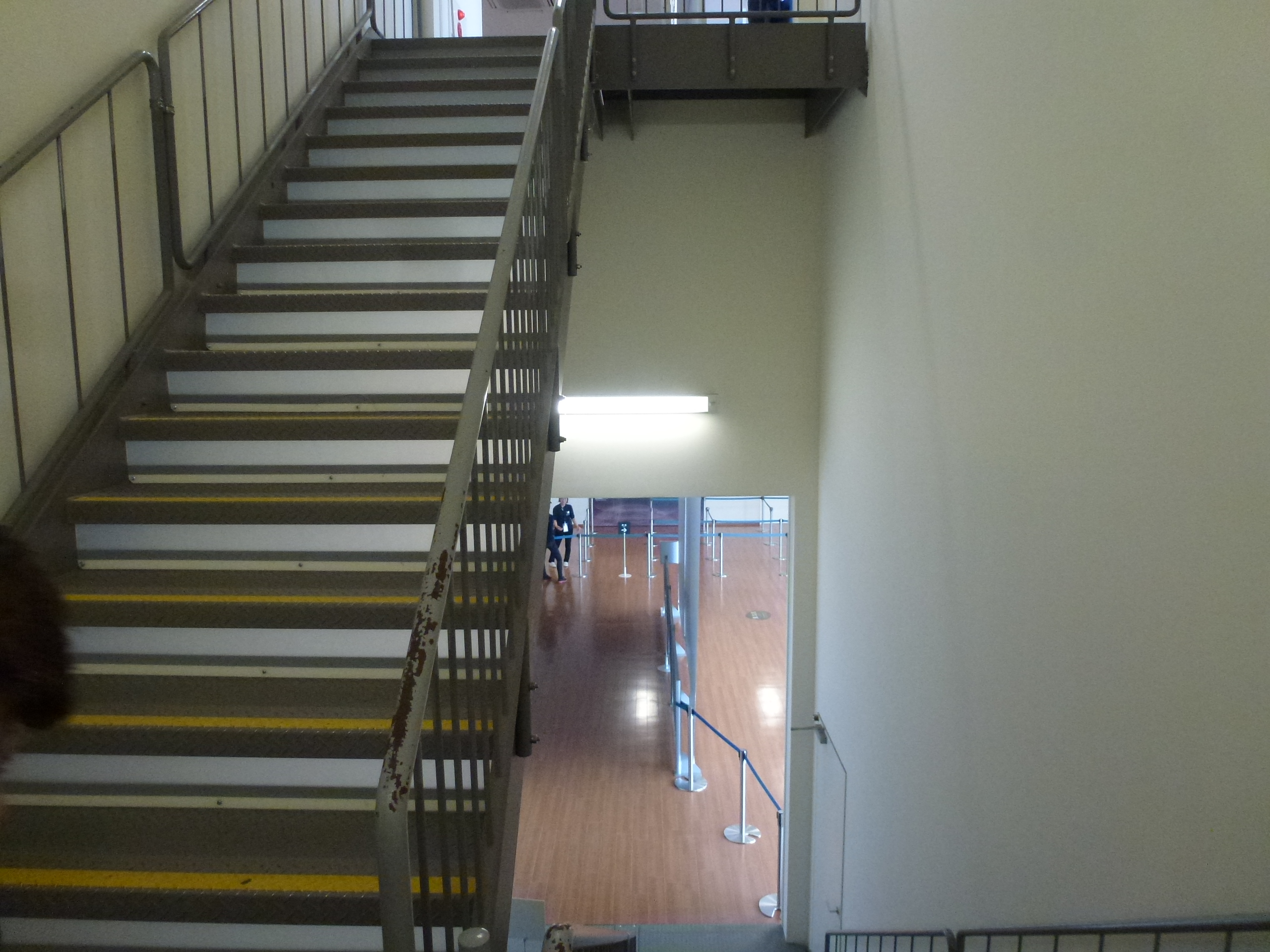 P1060671.JPG