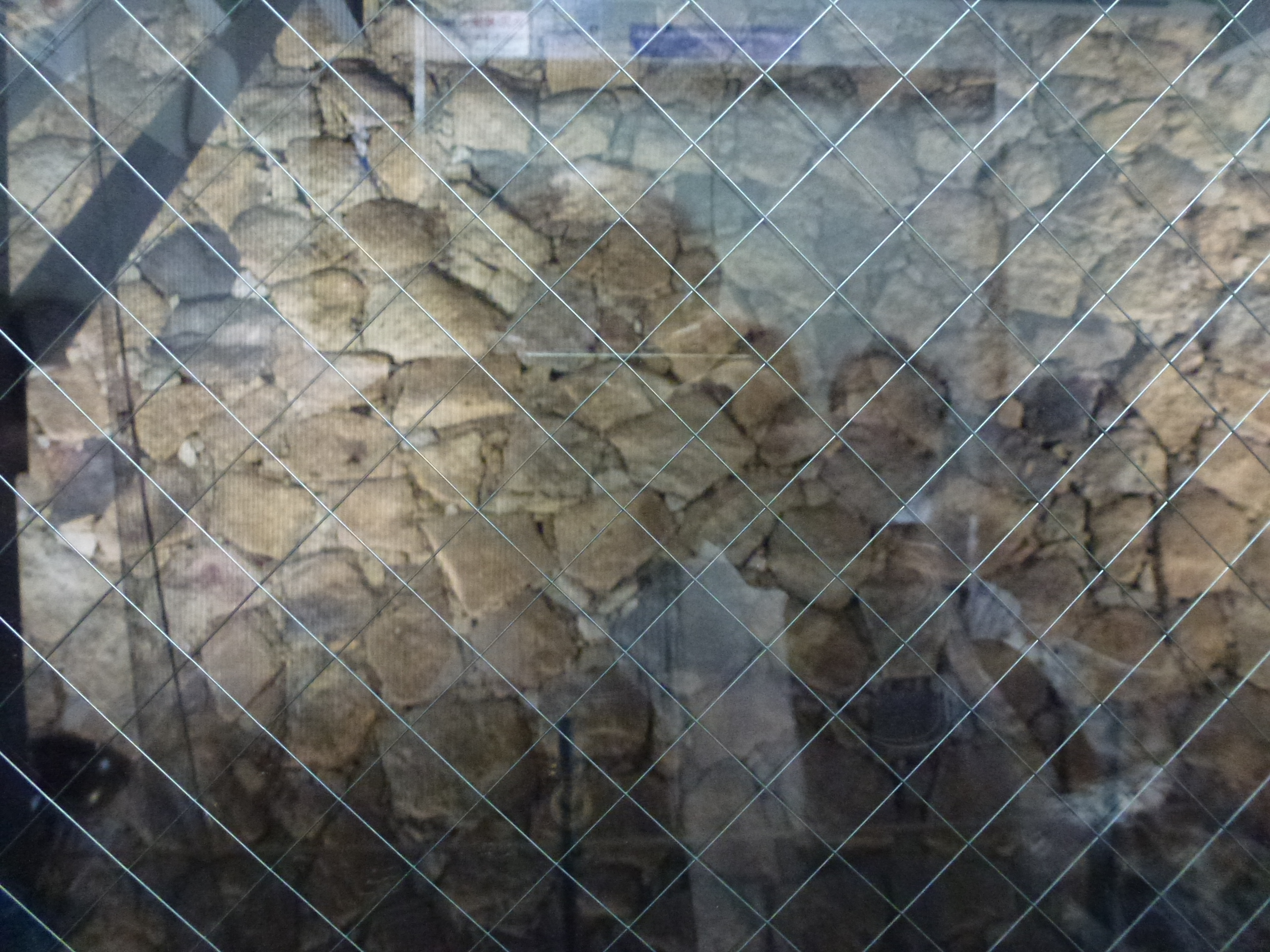P1060681.JPG