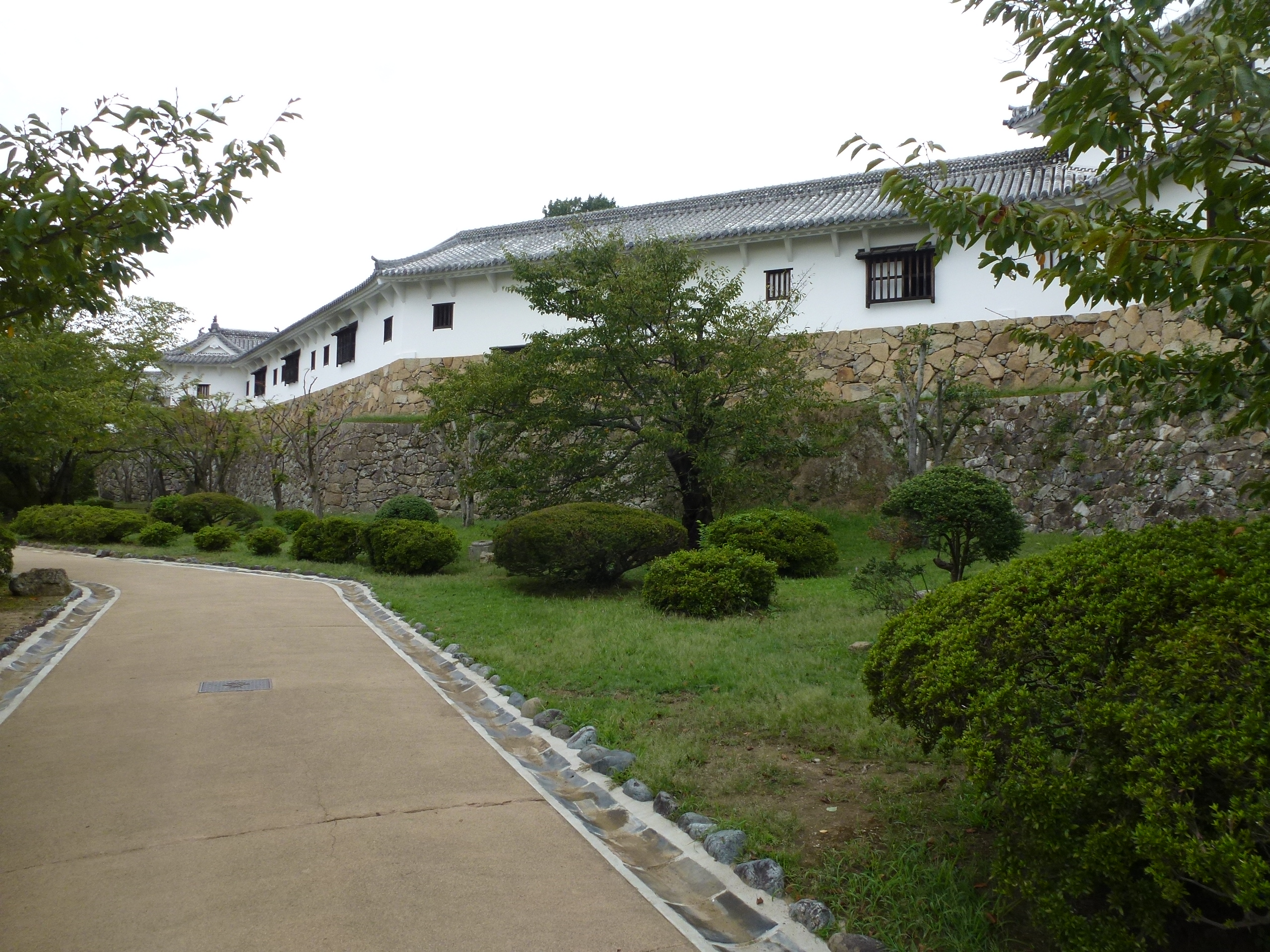 P1060692.JPG