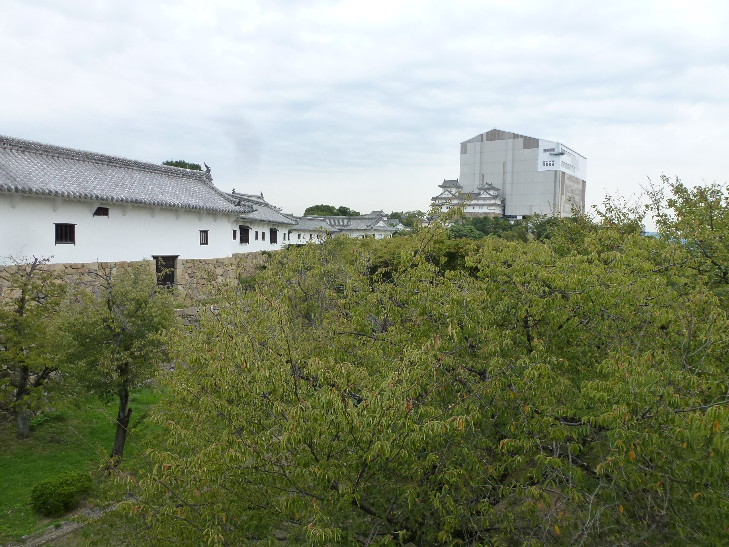 P1060694.JPG