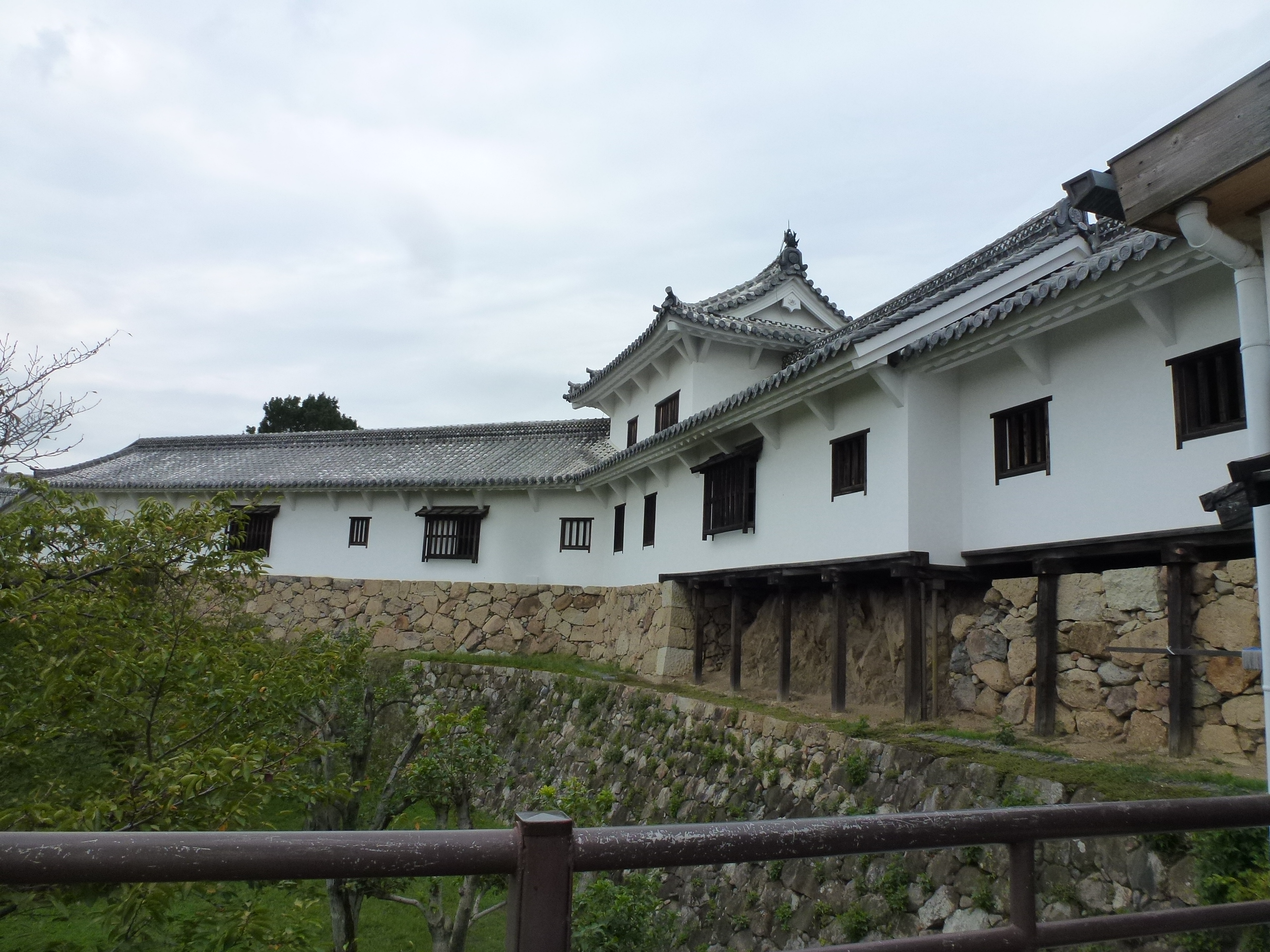 P1060700.JPG