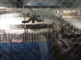 img0020.jpg