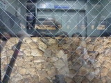 img0023.jpg