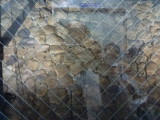 img0024.jpg
