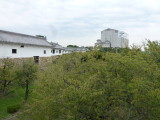 img0036.jpg