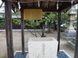 img0051.jpg