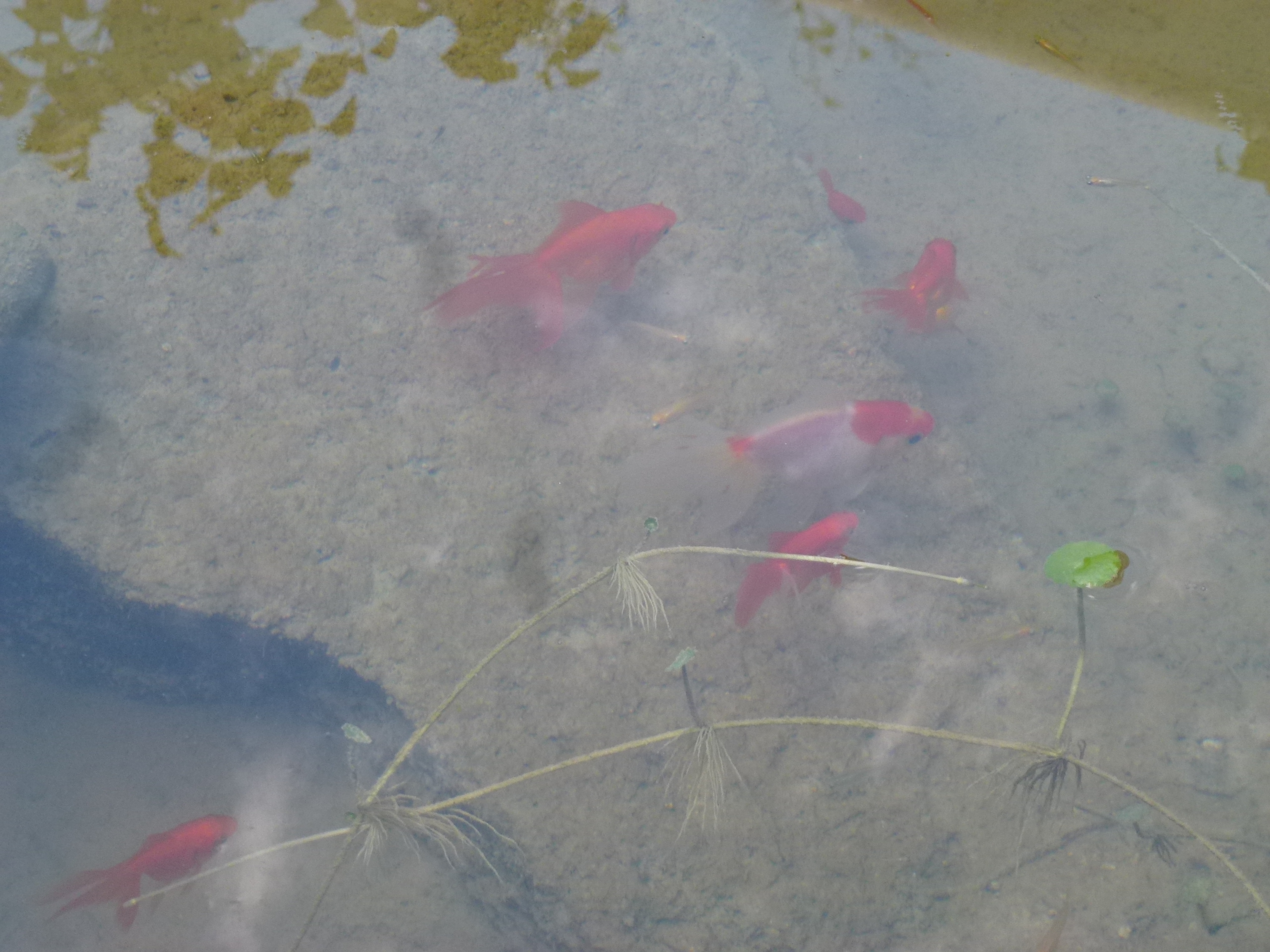 P1060941.JPG
