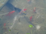 img0000.jpg