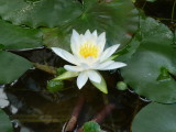 img0002.jpg