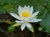 img0003.jpg
