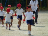 img0077.jpg
