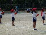 img0106.jpg