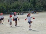 img0113.jpg