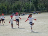 img0115.jpg