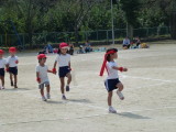 img0116.jpg