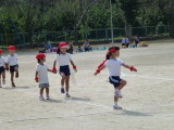 img0117.jpg