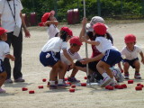 img0149.jpg