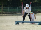 img0174.jpg