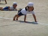 img0227.jpg