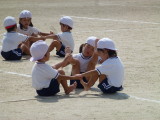 img0231.jpg
