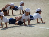 img0237.jpg