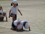 img0239.jpg