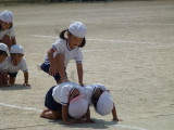 img0243.jpg