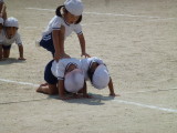 img0245.jpg