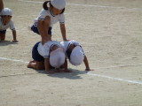img0246.jpg