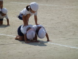 img0247.jpg