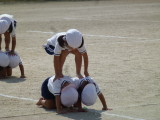 img0250.jpg