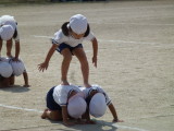 img0251.jpg