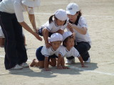 img0263.jpg
