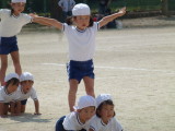 img0264.jpg